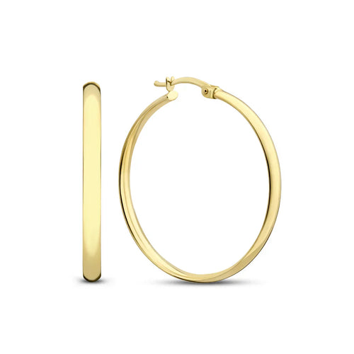 Noa | Earrings | Gold